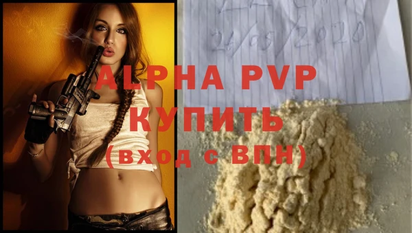 крисы Вязьма