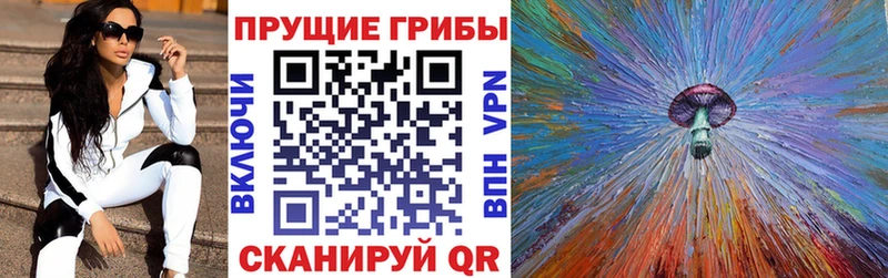 Купить закладки  Строитель  Псилоцибиновые грибы Psilocybe 