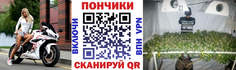 Бошки Шишки сатива Купить где Строитель